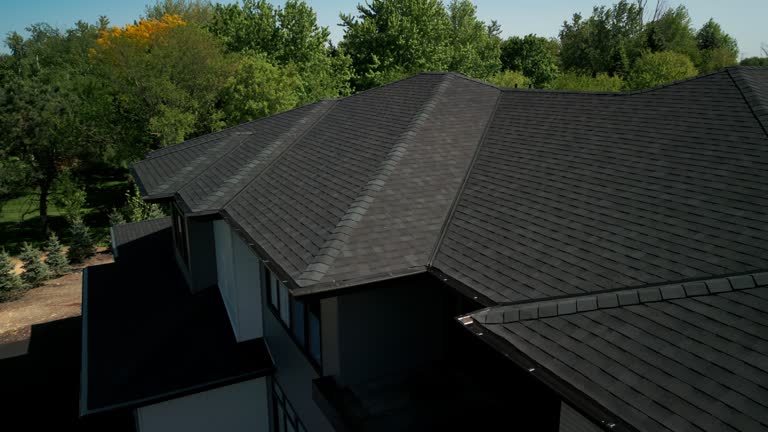 Best Skylight Installation and Repair  in King Cove, AK