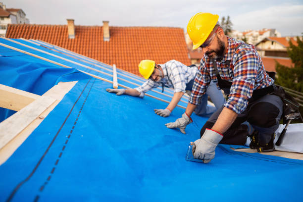Best Chimney Flashing Repair  in King Cove, AK