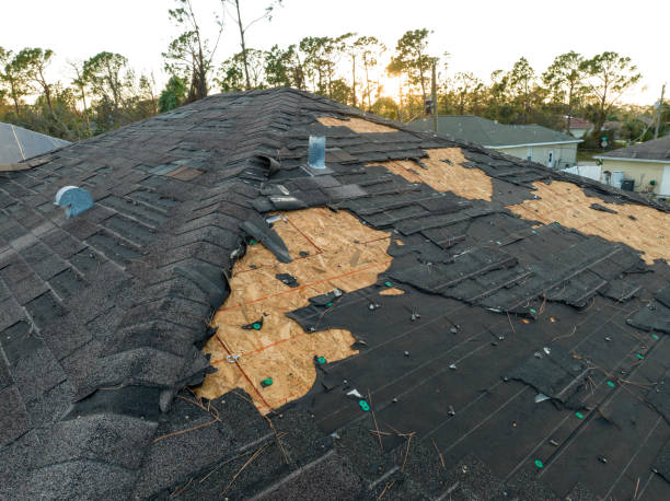 Best Roof Maintenance and Cleaning  in King Cove, AK