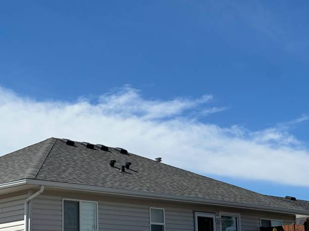 Best Asphalt Shingles Roofing  in King Cove, AK